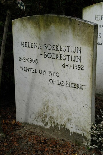 Helena Boekestijn